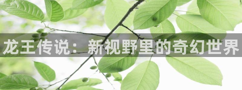 51漫画在线观看网站