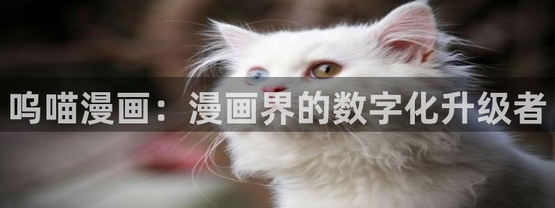 51漫画在线网站